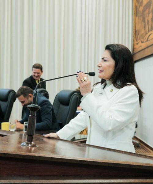 Audiência pública vai debater impactos de embargos ambientais no setor produtivo do Acre