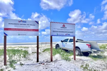 Praia do Atalaia reforça proteção às tartarugas marinhas durante temporada de reprodução