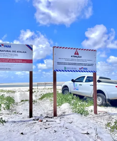 Praia do Atalaia reforça proteção às tartarugas marinhas durante temporada de reprodução