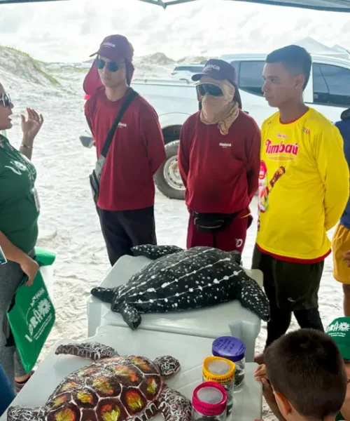 Educação ambiental reforça proteção de tartarugas marinhas na Praia do Atalaia, no Pará