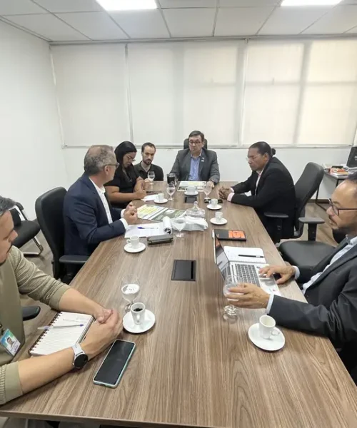 Proposta de novo acordo de cooperação territorial avança entre Pará e Guiana Francesa
