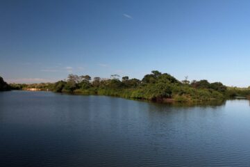 Tocantins lança programa estadual para restaurar vegetação nativa e combater mudanças climáticas