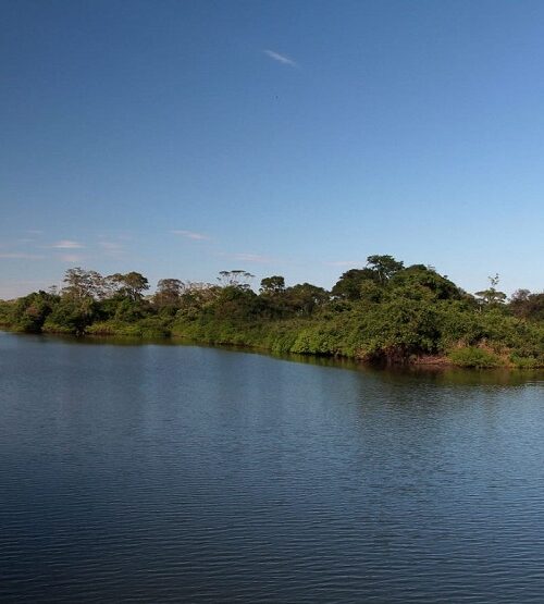 Tocantins lança programa estadual para restaurar vegetação nativa e combater mudanças climáticas