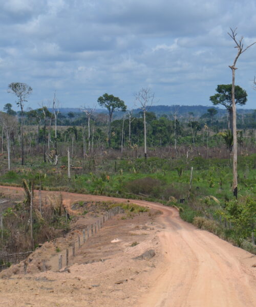 Estudo analisa possíveis cenários ambientais na Região Trans-Purus, no Amazonas