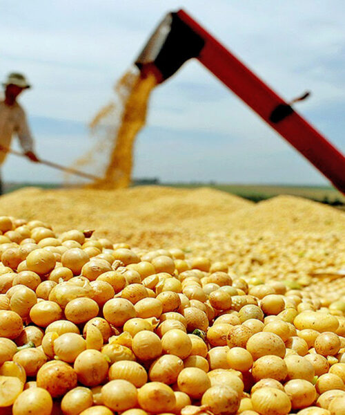 Tocantins projeta safra recorde de grãos e reforça liderança na Região Norte em 2025