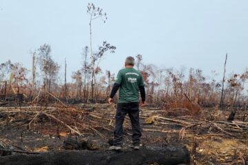 Ipaam intensifica fiscalização contra desmatamento e queimadas na Região Metropolitana de Manaus