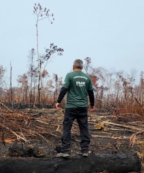 Ipaam intensifica fiscalização contra desmatamento e queimadas na Região Metropolitana de Manaus