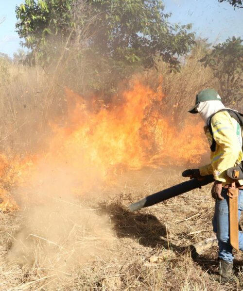 Governo do Tocantins suspende queima controlada e reforça ações contra incêndios florestais