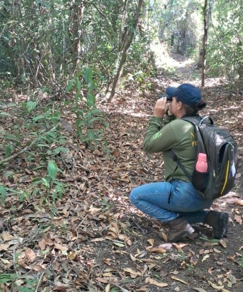 Naturatins intensifica monitoramento da biodiversidade no Parque Estadual do Cantão