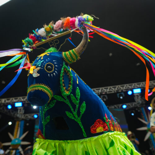 Projeto celebra a diversidade cultural amazônica com ações educativas e apresentações artísticas no Pará 