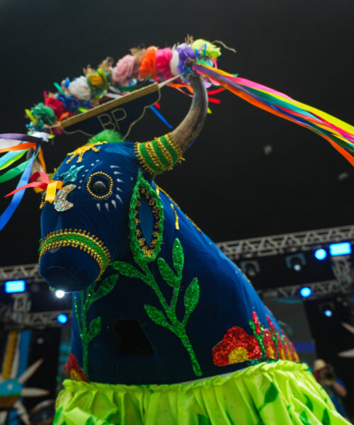Projeto celebra a diversidade cultural amazônica com ações educativas e apresentações artísticas no Pará 