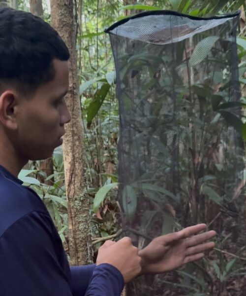 Governo do Amazonas realiza monitoramento da biodiversidade em Unidades de Conservação da BR-319