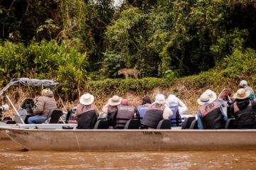 Mato Grosso busca inspiração na África do Sul para desenvolver safári sustentável no Pantanal