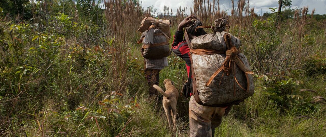 Semana da Sociobiodiversidade reúne povos tradicionais em Brasília para fortalecer políticas sustentáveis