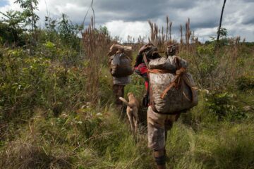 Semana da Sociobiodiversidade reúne povos tradicionais em Brasília para fortalecer políticas sustentáveis