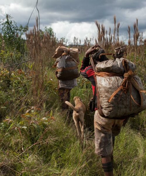 Semana da Sociobiodiversidade reúne povos tradicionais em Brasília para fortalecer políticas sustentáveis