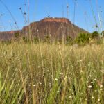 Capim-dourado: Naturatins participa de visita cultural no Jalapão