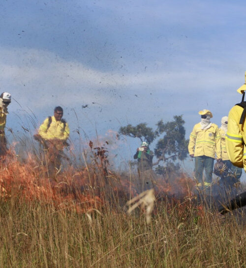 Naturatins intensifica ações contra incêndios nas Unidades de Conservação do Tocantins