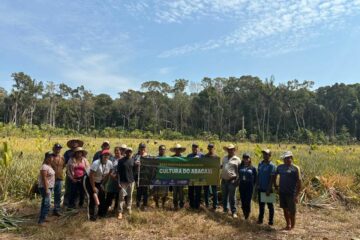 Idam promove a cultura do abacaxi no interior do Amazonas com curso de boas práticas e projetos de capacitação