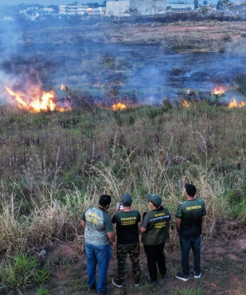 Acre registra 260 focos de queimadas em um único dia e outubro já tem alta de 140%