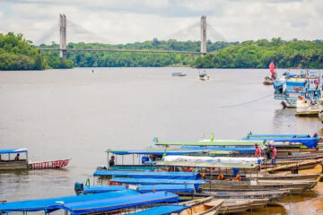 Amapá recebe 1º Seminário do Centro Franco-Brasileiro da Biodiversidade Amazônica antes da COP30
