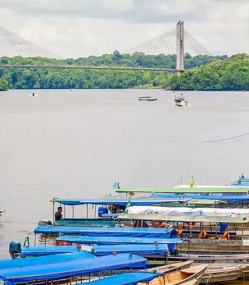 Amapá recebe 1º Seminário do Centro Franco-Brasileiro da Biodiversidade Amazônica antes da COP30