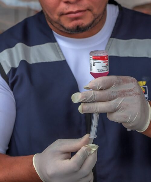 Vacinação antirrábica gratuita é ofertada em Rio Branco durante o mês de setembro