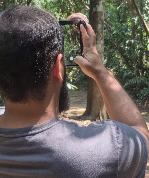 Projeto cataloga mais de 80 espécies de aves no Horto Florestal de Rio Branco