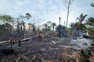 Prefeitura de Rio Branco realiza fiscalização em Área de Proteção Ambiental nas imediações da BR-364