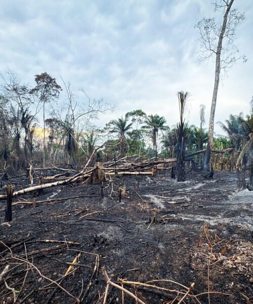 Prefeitura de Rio Branco realiza fiscalização em Área de Proteção Ambiental nas imediações da BR-364