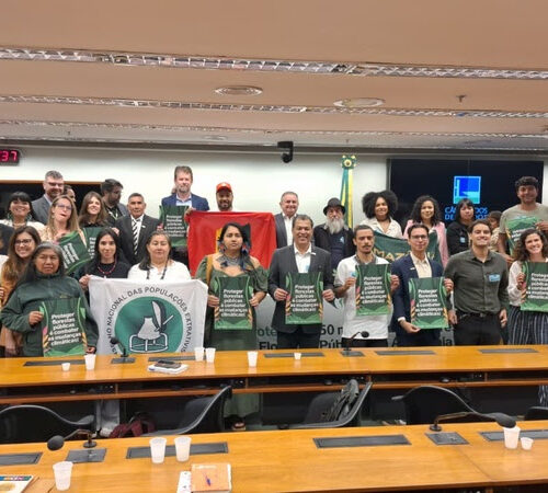 Florestas públicas não destinadas: alerta ambiental e mobilização social na Câmara dos Deputados