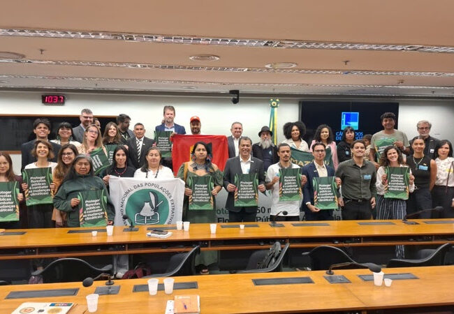 Florestas públicas não destinadas: alerta ambiental e mobilização social na Câmara dos Deputados