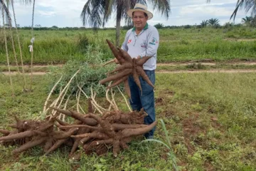 Pará lidera produção agrícola e celebra crescimento no Dia Nacional da Agricultura