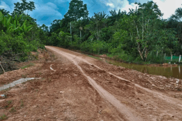 Especialista avalia que pavimentação da BR-319 pode ser complexa, custosa e gerar inundações