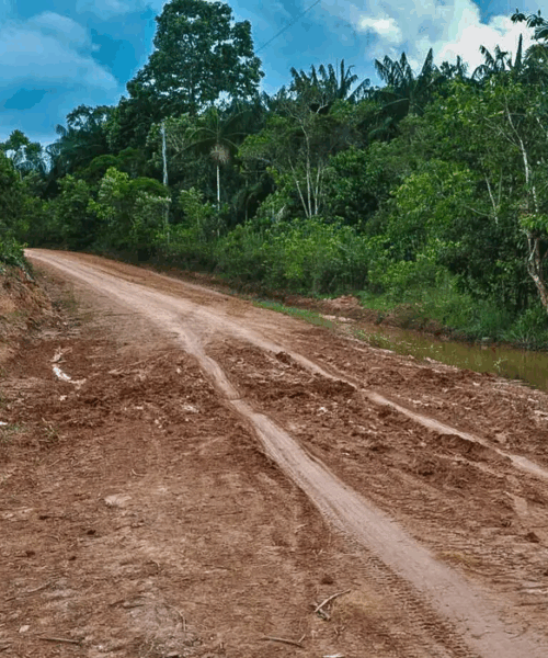 Especialista avalia que pavimentação da BR-319 pode ser complexa, custosa e gerar inundações