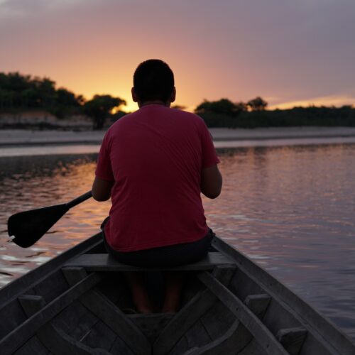 Guia explica papel da Amazônia e importância da COP30 em Belém