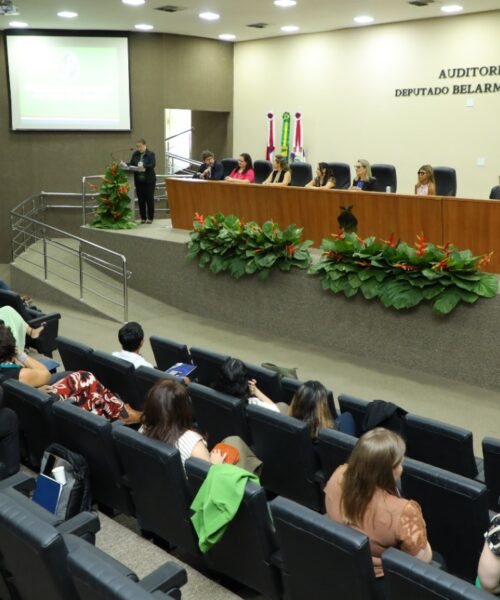 Diálogo nórdico-brasileiro discute cooperação científica para a Amazônia rumo à COP30