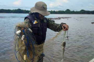 Naturatins intensifica fiscalização contra pesca predatória antes do período de defeso no Tocantins