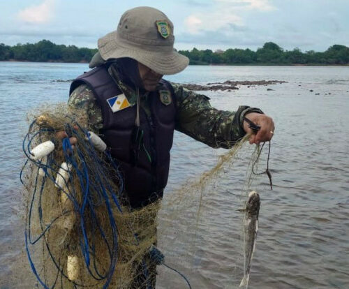 Naturatins intensifica fiscalização contra pesca predatória antes do período de defeso no Tocantins