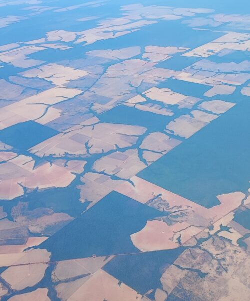 Nova ferramenta da CERTI Amazônia amplia monitoramento do desmatamento na Amazônia Legal