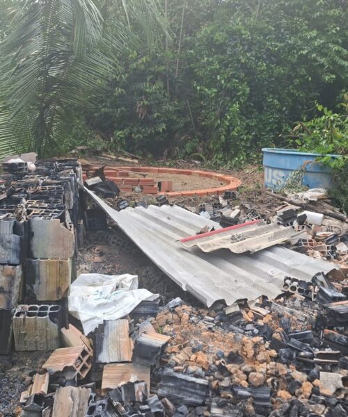Emissora chinesa grava documentário sobre fiscalização ambiental no Amazonas