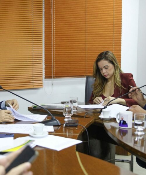 CCJ da Aleac aprova projetos voltados à saúde, proteção infantil e inclusão social