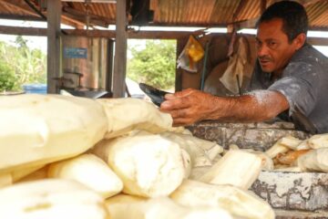 Rio Branco realiza 2ª edição do Festival da Macaxeira e Agronegócio