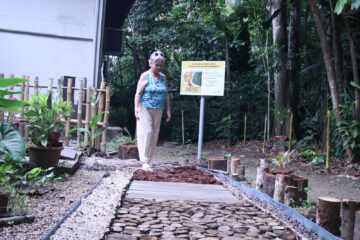 Trilha Sensorial de madeiras amazônicas é novo atrativo do Bosque da Ciência em Manaus
