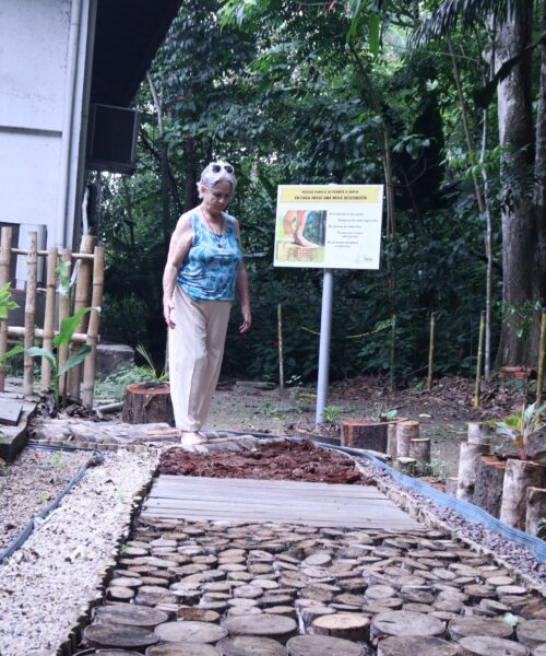 Trilha Sensorial de madeiras amazônicas é novo atrativo do Bosque da Ciência em Manaus