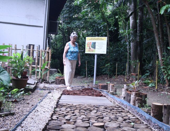 Trilha Sensorial de madeiras amazônicas é novo atrativo do Bosque da Ciência em Manaus