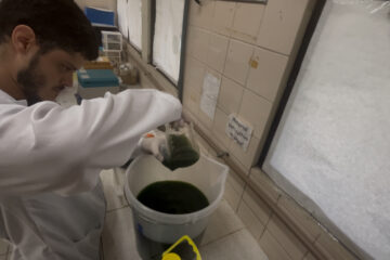 Microalgas da Amazônia impulsionam nova fronteira da biotecnologia sustentável no Brasil