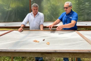 Engenheiros agrônomos impulsionam o desenvolvimento sustentável no Pará