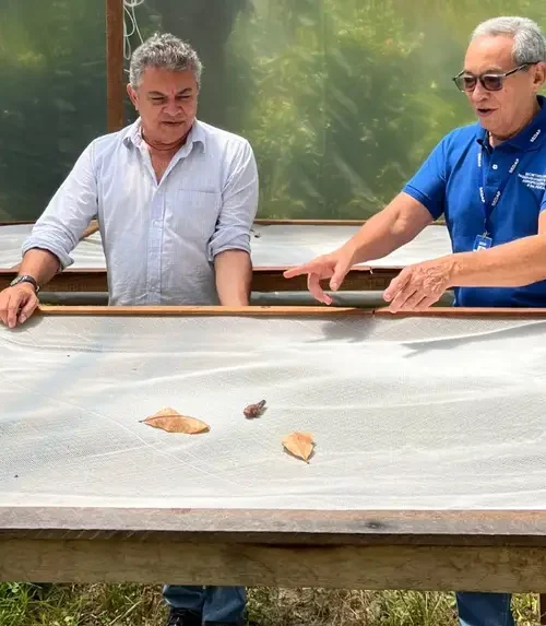 Engenheiros agrônomos impulsionam o desenvolvimento sustentável no Pará