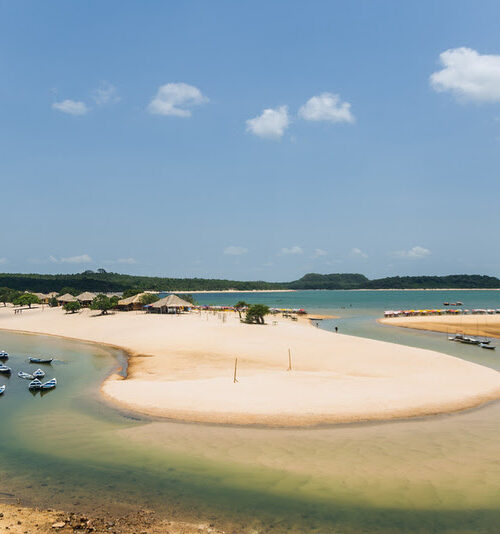 Embratur e Sebrae promovem famtour com operadores alemães para fortalecer o turismo na Amazônia